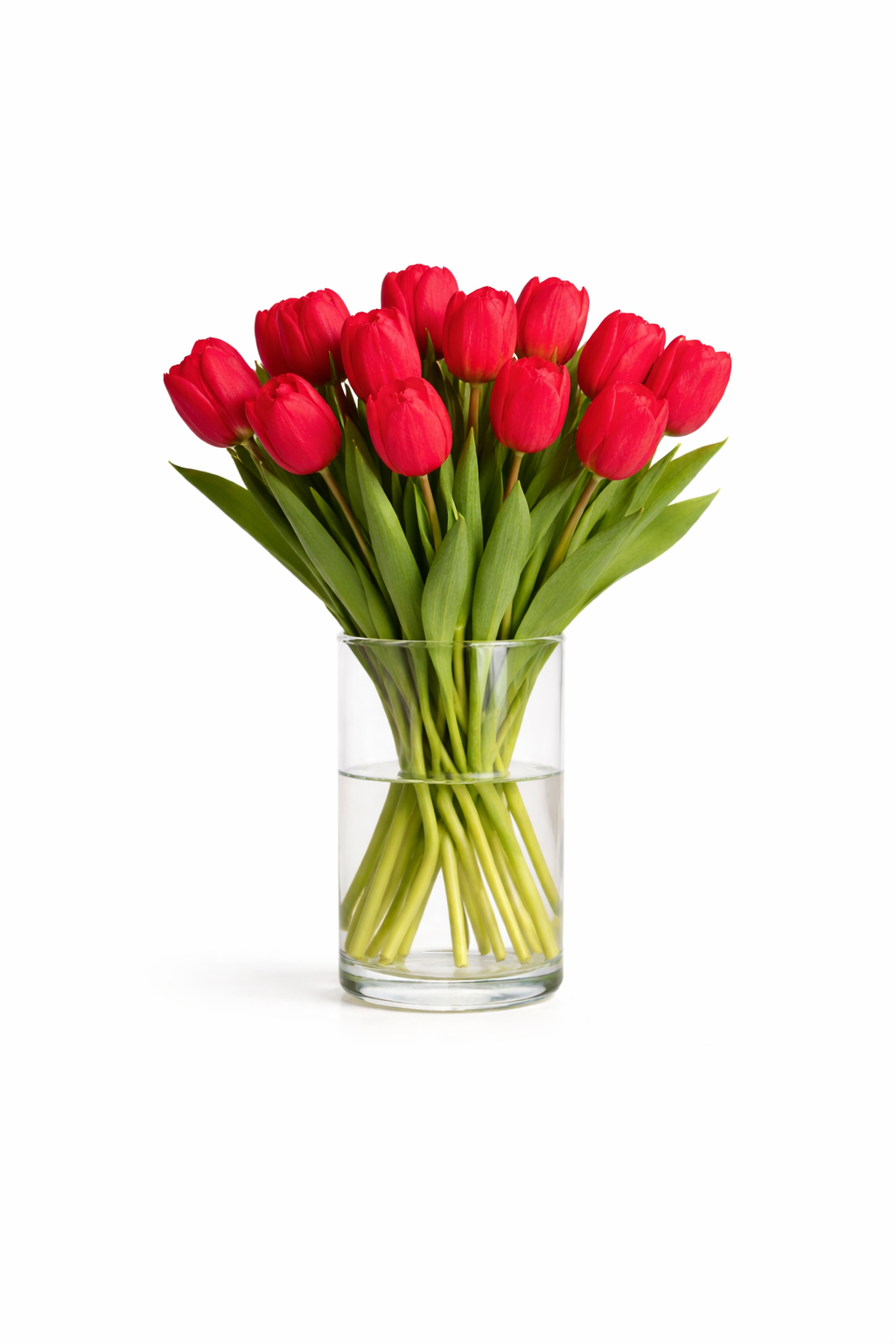 Lalele proaspete - 15 buc